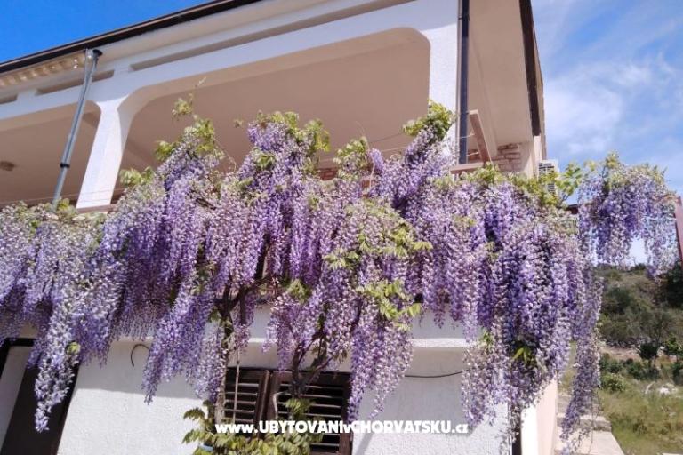 Apartment Mišić - OAZA MIRA – photo 21