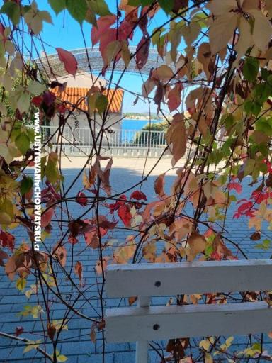 Apartments Ana – photo 7
