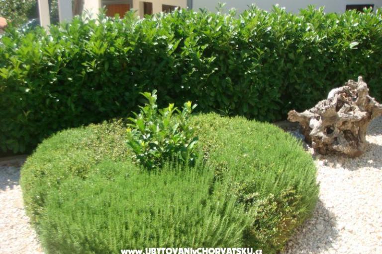 Apartments Bartolić – photo 13