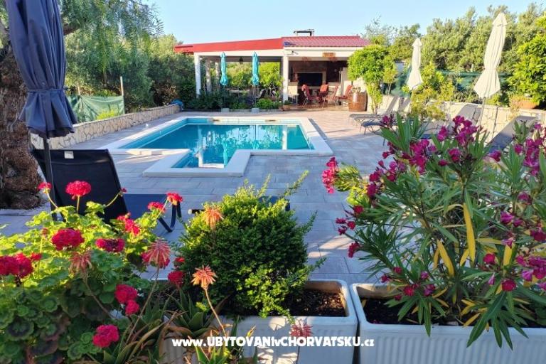 Villa Stella – photo 5