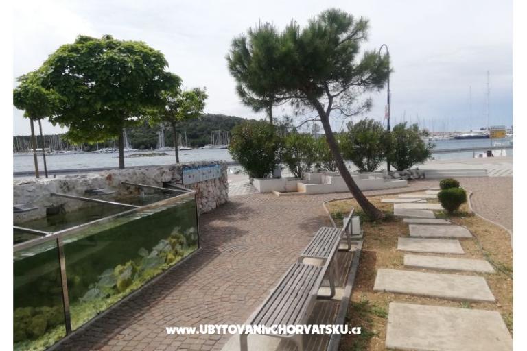 Apartments Diana – photo 5