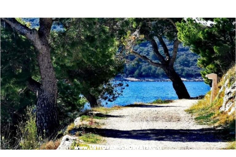 Apartments Diana – photo 9