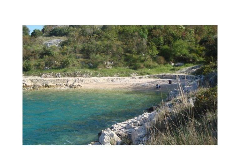 Apartments Domino – photo 15