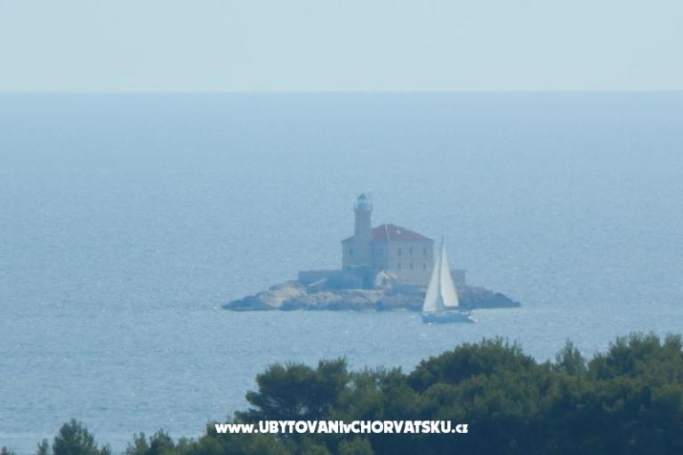 Apartments Domino – photo 16