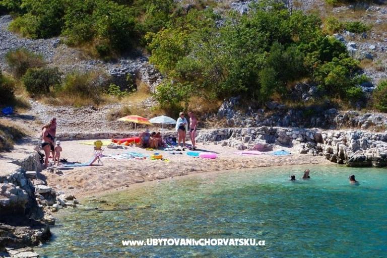 Apartments Domino – photo 2