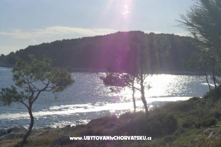 Apartments Domino – photo 6