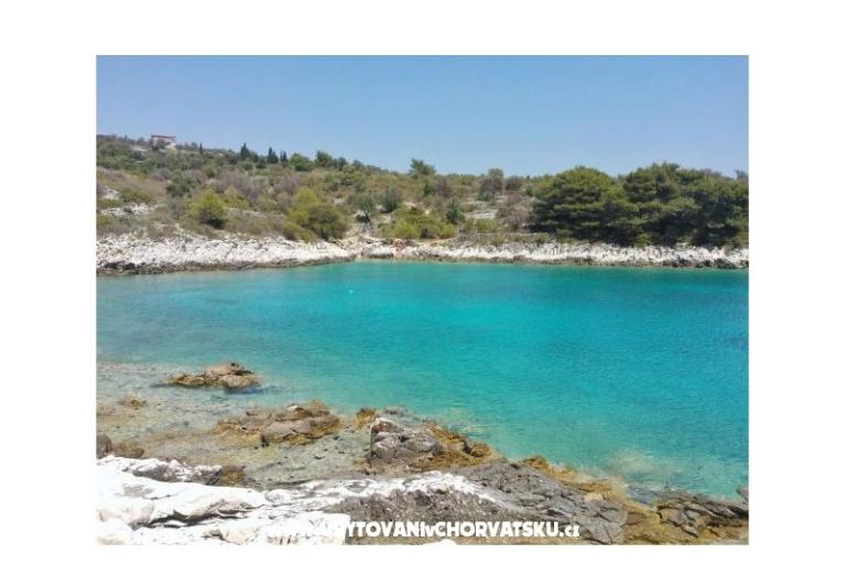 Apartments Domino – photo 8