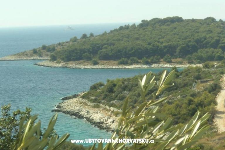 Apartments Domino – photo 9