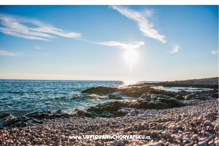 Apartments Duje Belvedere – photo 11