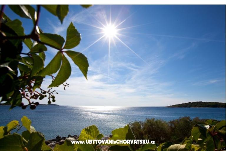 Apartments Holiday – photo 8