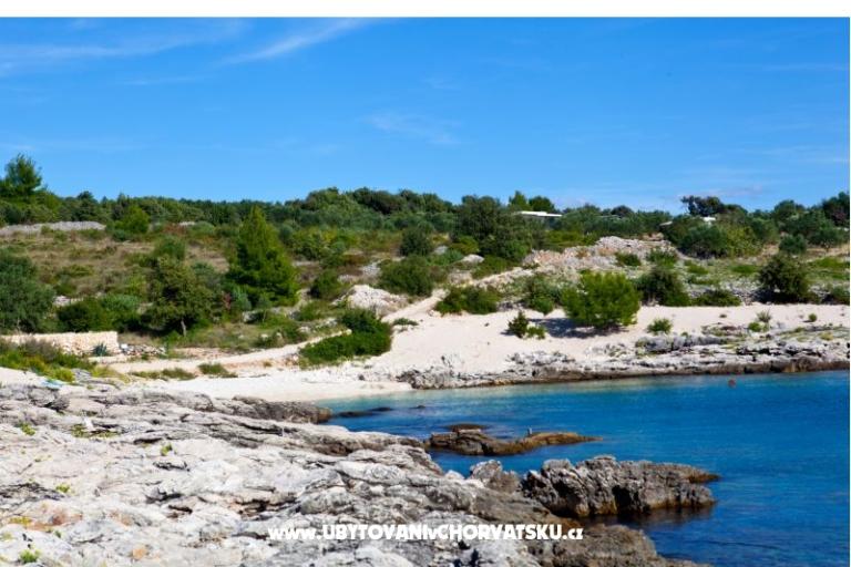 Apartments Holiday – photo 6