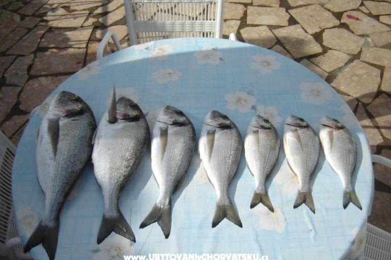 Apartments Karabatić – photo 16