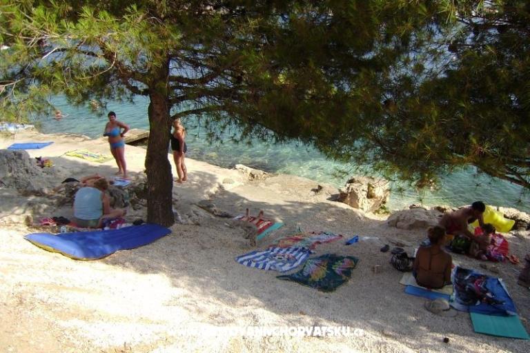 Apartments Leon – photo 12