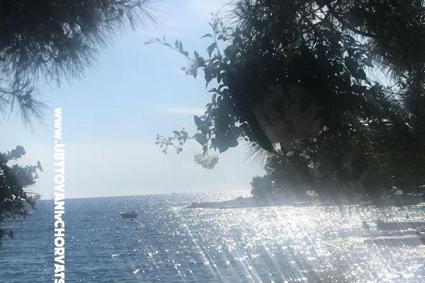 Apartments Leona Rogoznica – photo 13