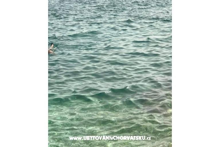 Apartments Leona Rogoznica – photo 7