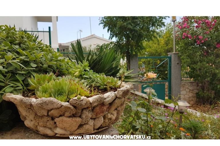 Apartments Mijo – photo 13