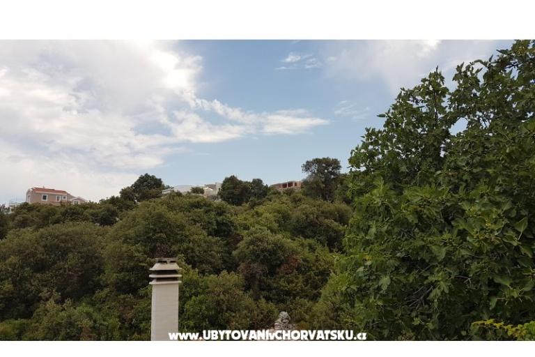 Apartments Mijo – photo 6