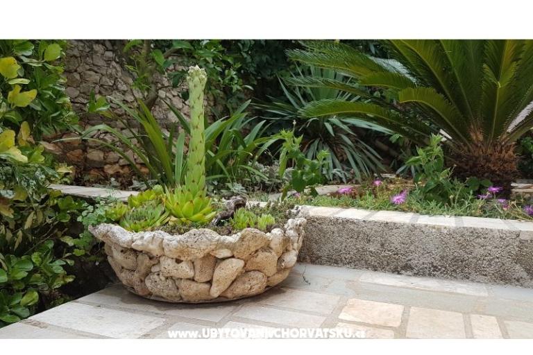 Apartments Mijo – photo 7