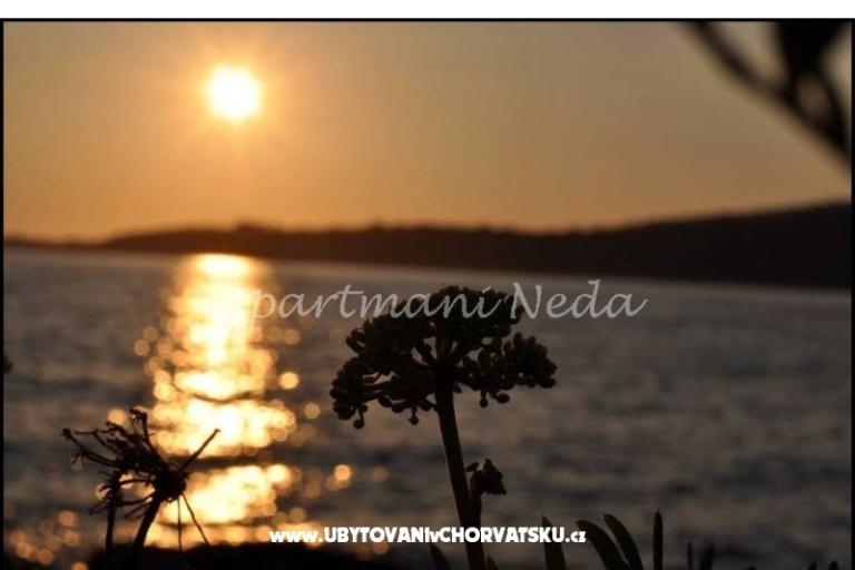 Apartments Neda,Kanica – photo 11