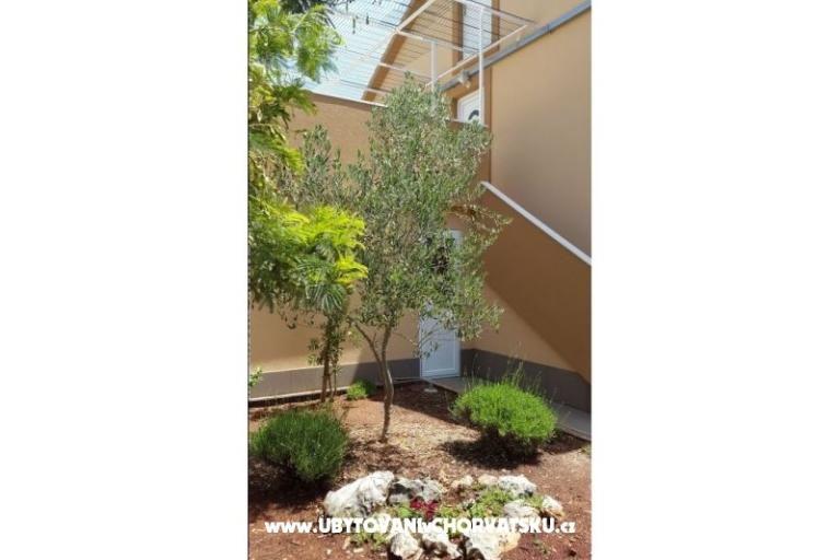 Apartments Pejo – photo 4