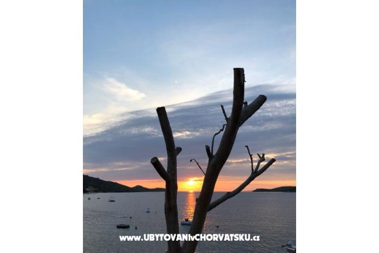 Apartments Ruža – photo 20