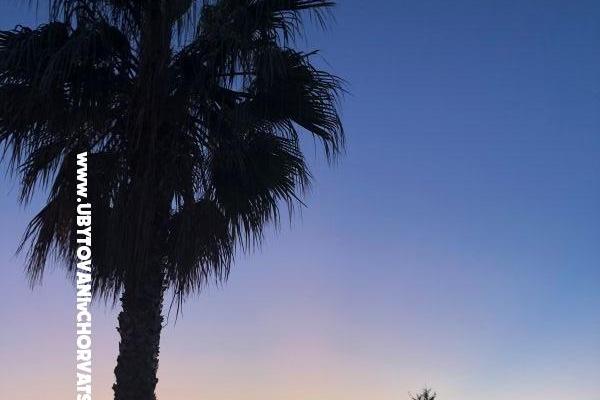 Apartments Ruža – photo 21