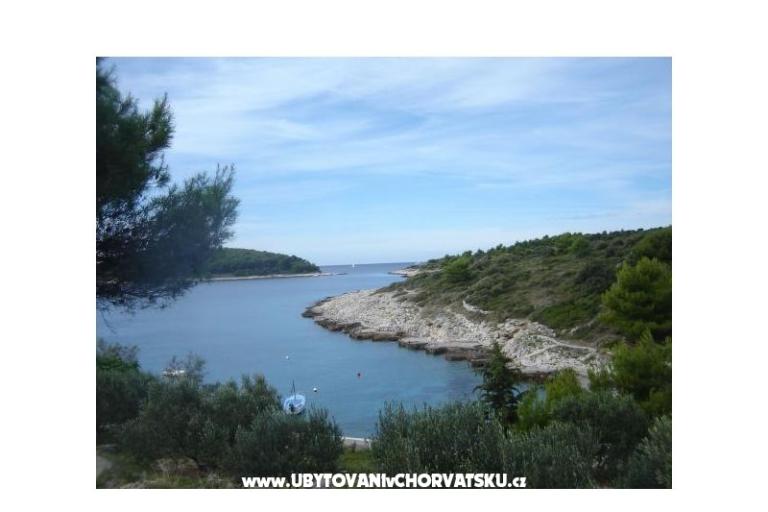 Apartment VITO Stara Draga – photo 15