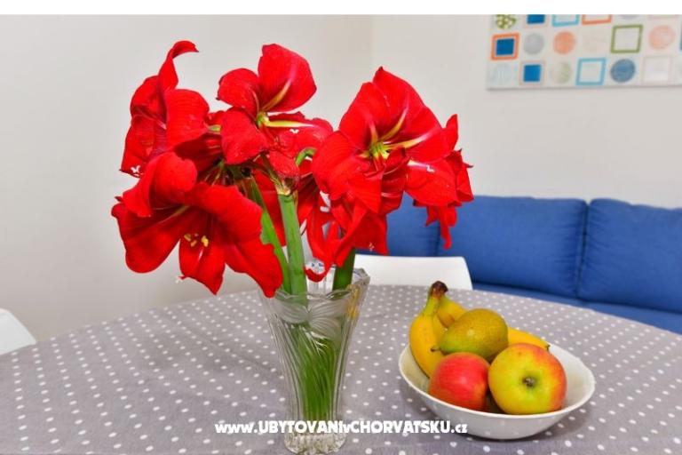 Apartments Tereza – photo 9