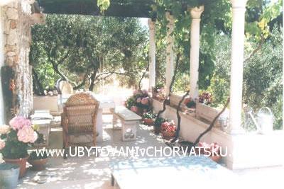 Apartments Tihana – photo 8