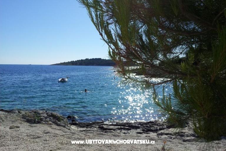 Apartments Tomislav Brnas – photo 10