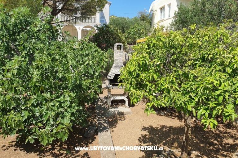 Apartments Vesna – photo 12