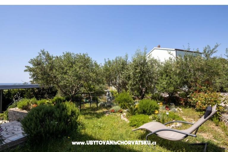 Apartments Vido i Nada – photo 5
