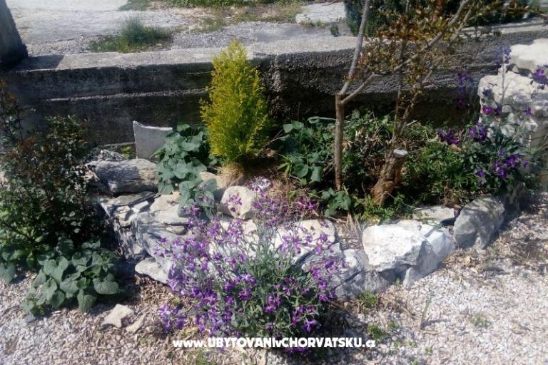 Apartments Ercegovic – photo 4