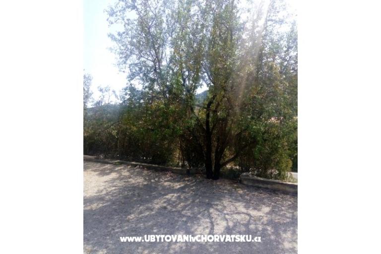 Apartments Ercegovic – photo 5