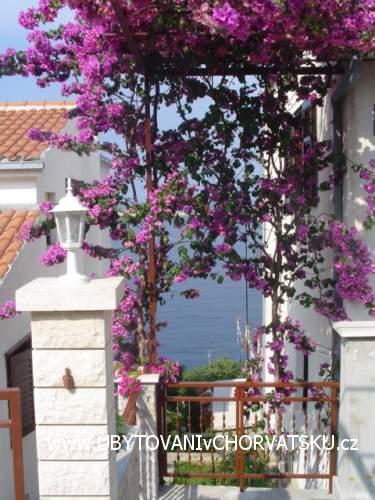 Apartments Lucija – photo 4