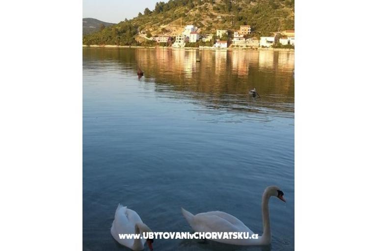 Apartments Captain`s house – photo 18