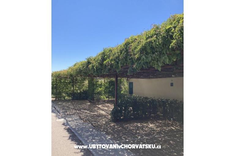 Apartments Jakov – photo 8