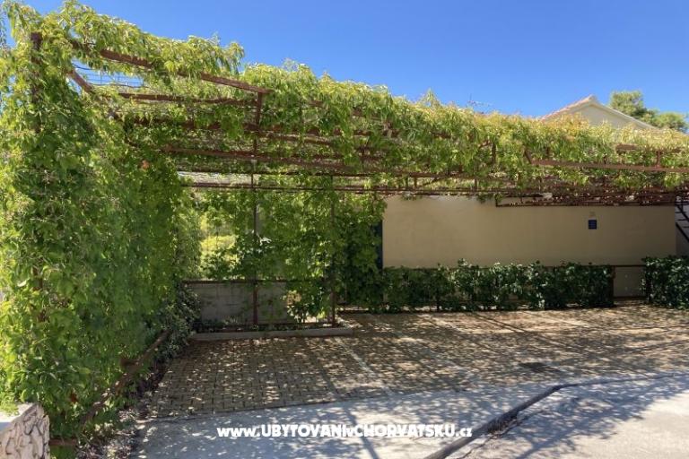 Apartments Jakov – photo 9