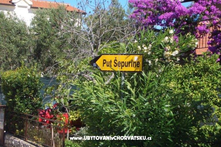 Apartments Knezevic – photo 13