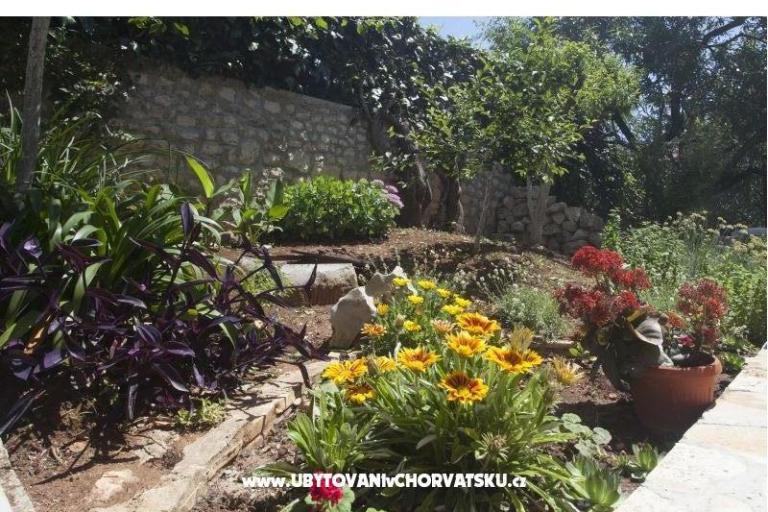 Apartments Miro – photo 3