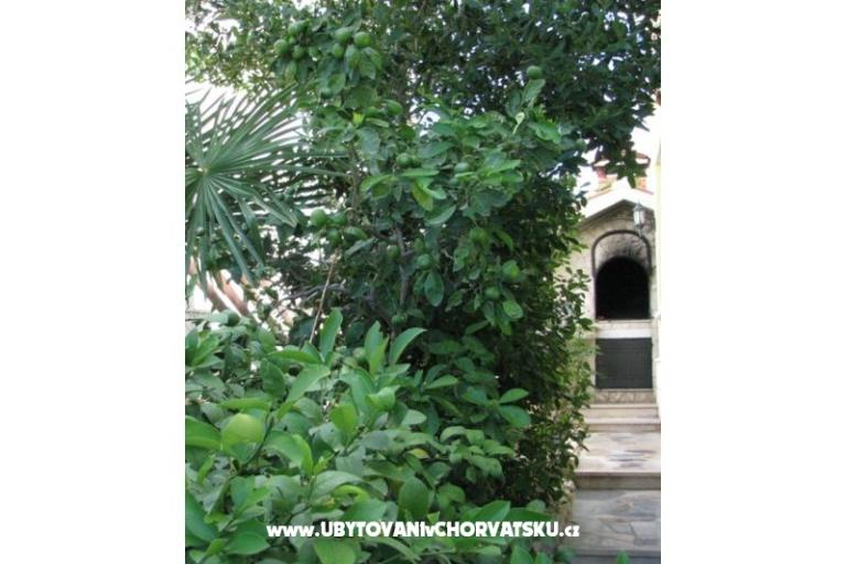 Apartments Villa Milakovic – photo 4
