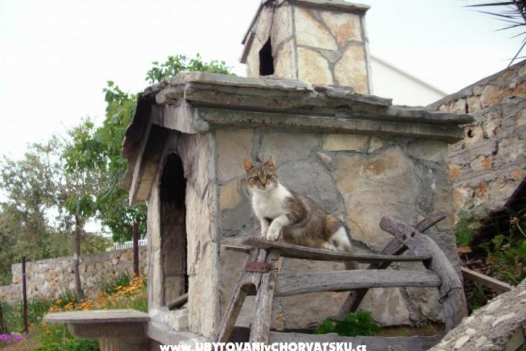 Apartments Rogoznica – photo 2