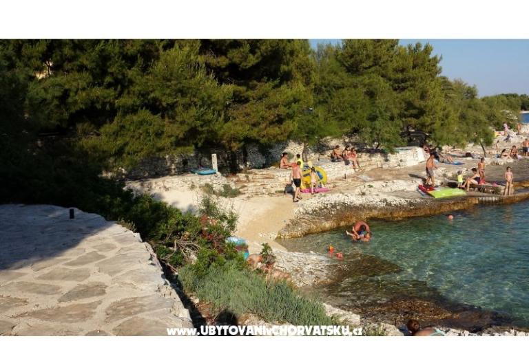 Apartments Ursula – photo 11