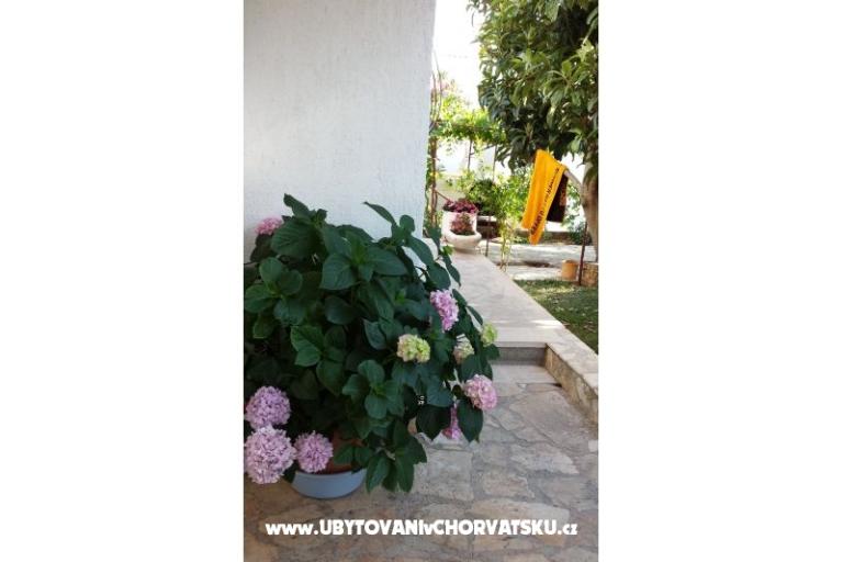 Apartments Ursula – photo 14