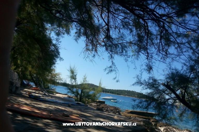 Apartments Ursula – photo 2