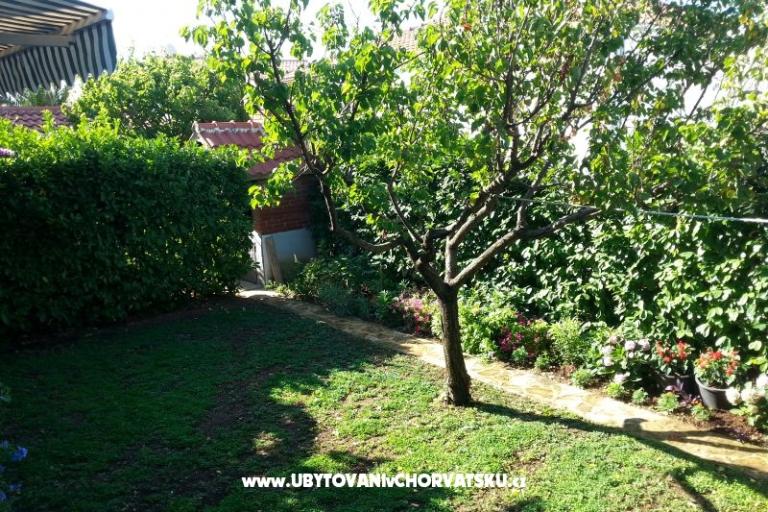 Apartments Ursula – photo 5