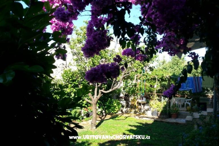 Apartments Ursula – photo 6