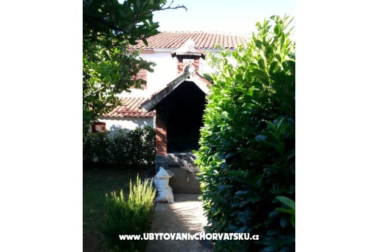 Apartments Ursula – photo 8