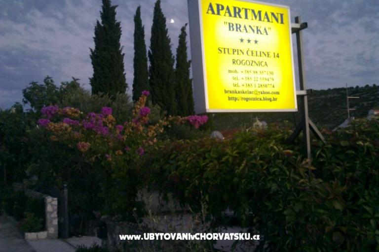 Apartments Villa Branka – photo 14