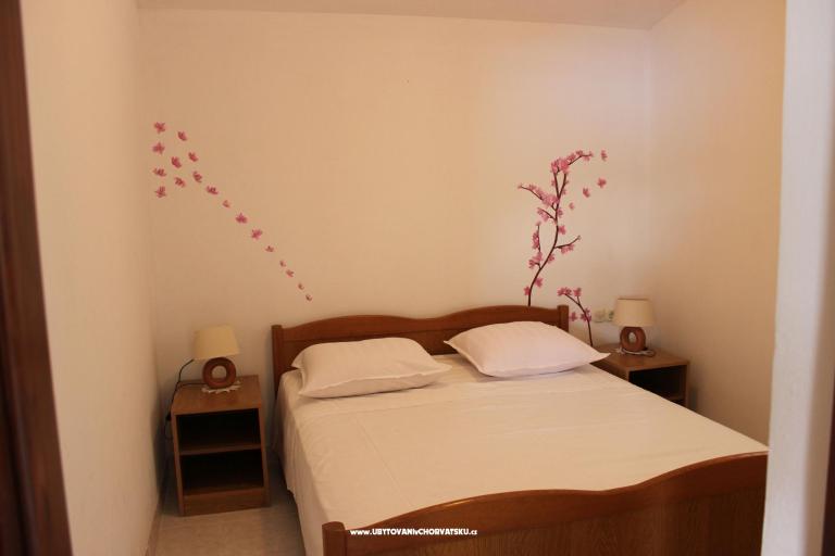 App Čop – photo 2